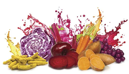 food colors manufacturers,food colors supplier