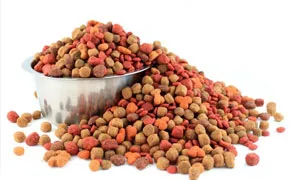pet food colors manufacturer,Carmoisine food dye manufacturers